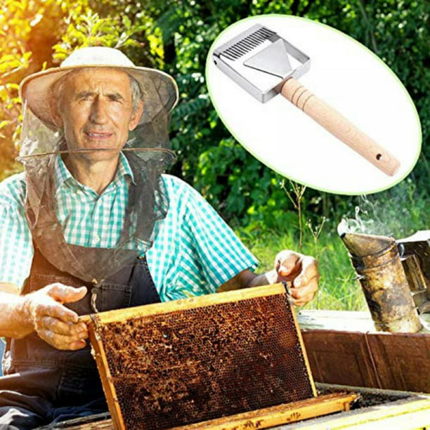 Durable Wooden Beehive Shovel Bee box Scoop Honey Scraper Beekeeping Clean Tool
